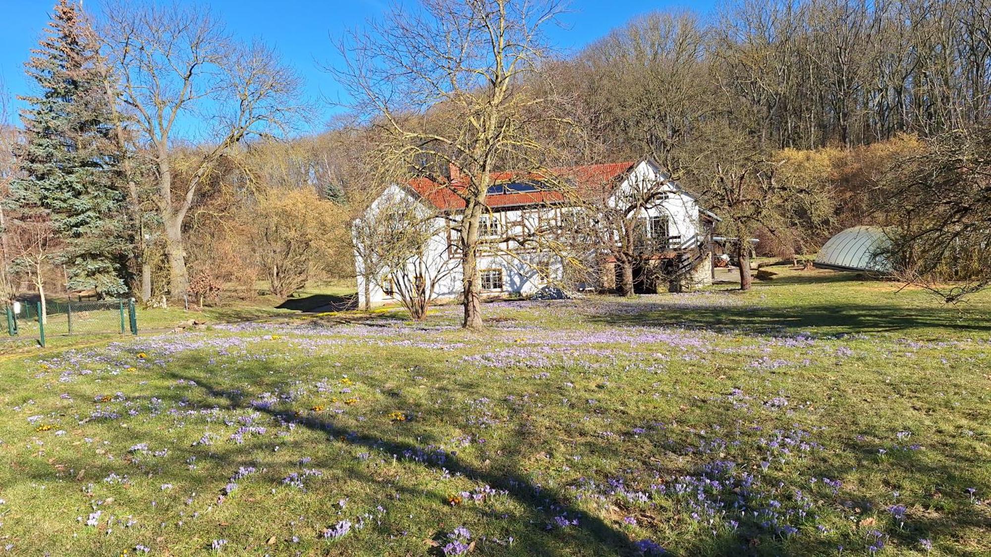 Ferienwohnung Obermühle Ballstädt Habitación foto