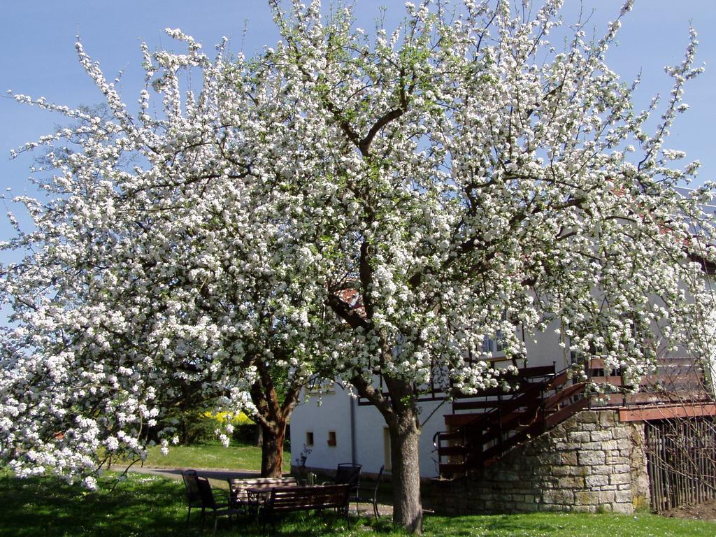 Ferienwohnung Obermühle Ballstädt Habitación foto